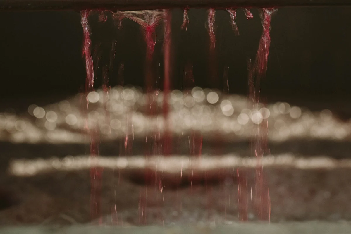 sfondi_vini-cdm_riserva