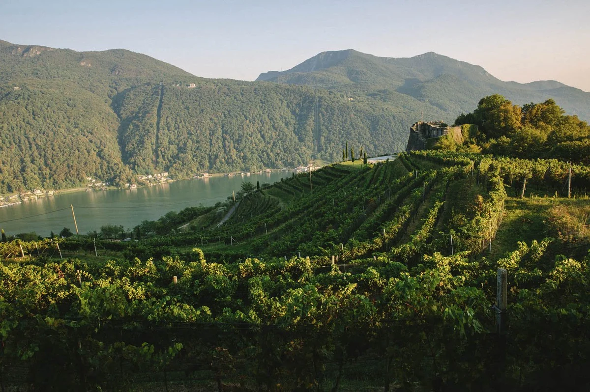 temporanee panorama castello dietro