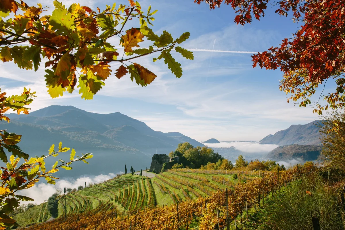 varie castello autunno sito