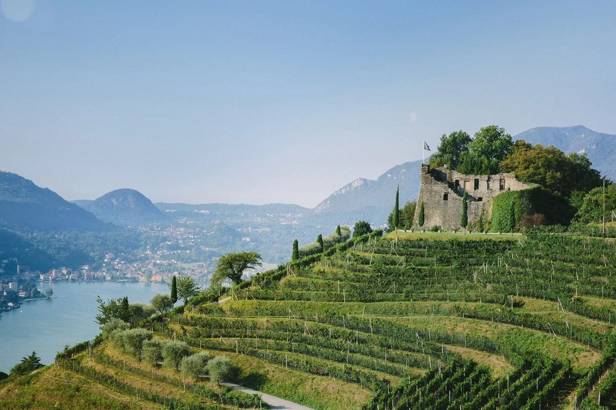 varie castello vigna sito